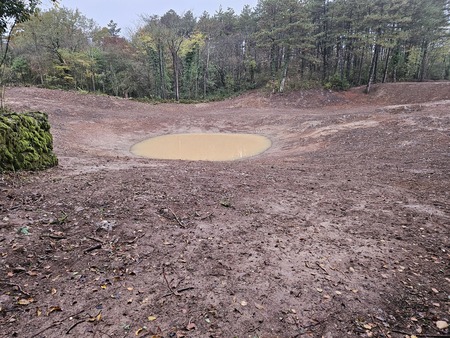 Obnova kala Rešilke Veliki Dol, Pliskovica